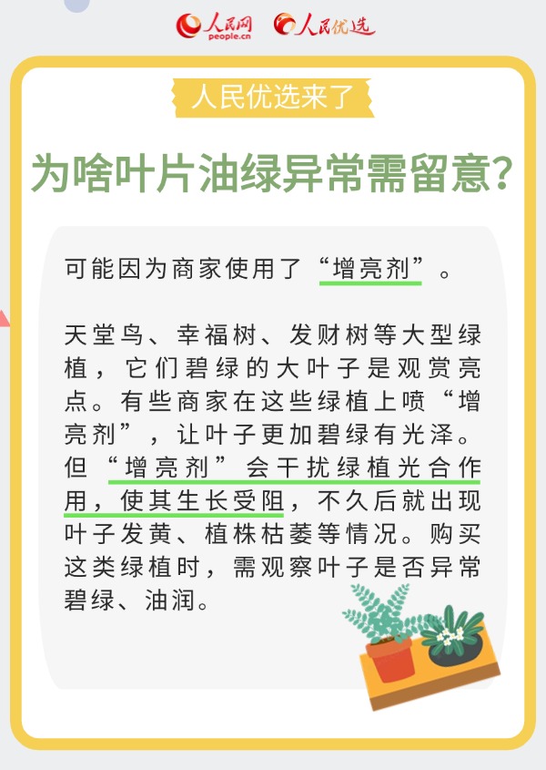 室內(nèi)花卉綠植怎么選?實(shí)用小貼士請(qǐng)查收-易網(wǎng)健康養(yǎng)生網(wǎng) 室內(nèi)花卉綠植怎么選?實(shí)用小貼士請(qǐng)查收