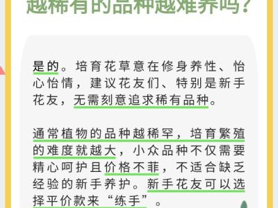 室內花卉綠植怎么選？實用小貼士請查收