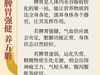 深秋時節養好脾胃 為健康過冬打基礎