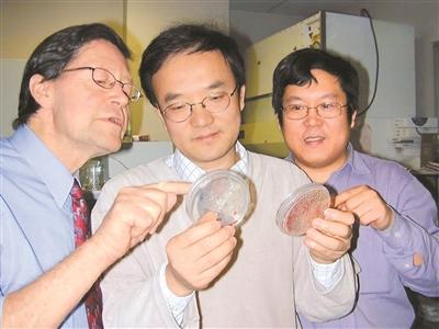 我在浦東做新藥（千行百業(yè)看海歸）