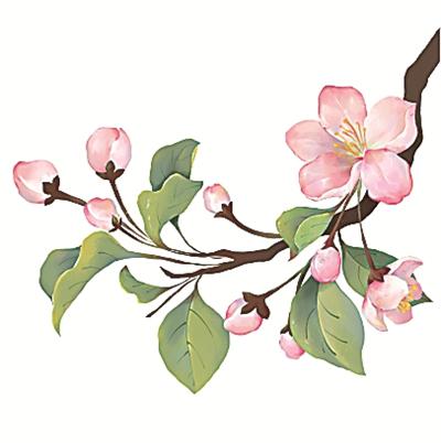 二十四節(jié)氣二十四問