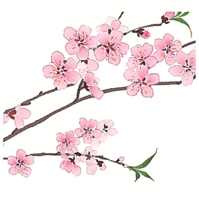 二十四節(jié)氣二十四問