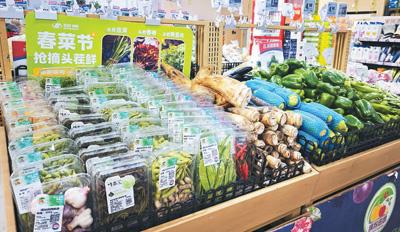 吃春菜,品“舌尖上的春天”(知食點)