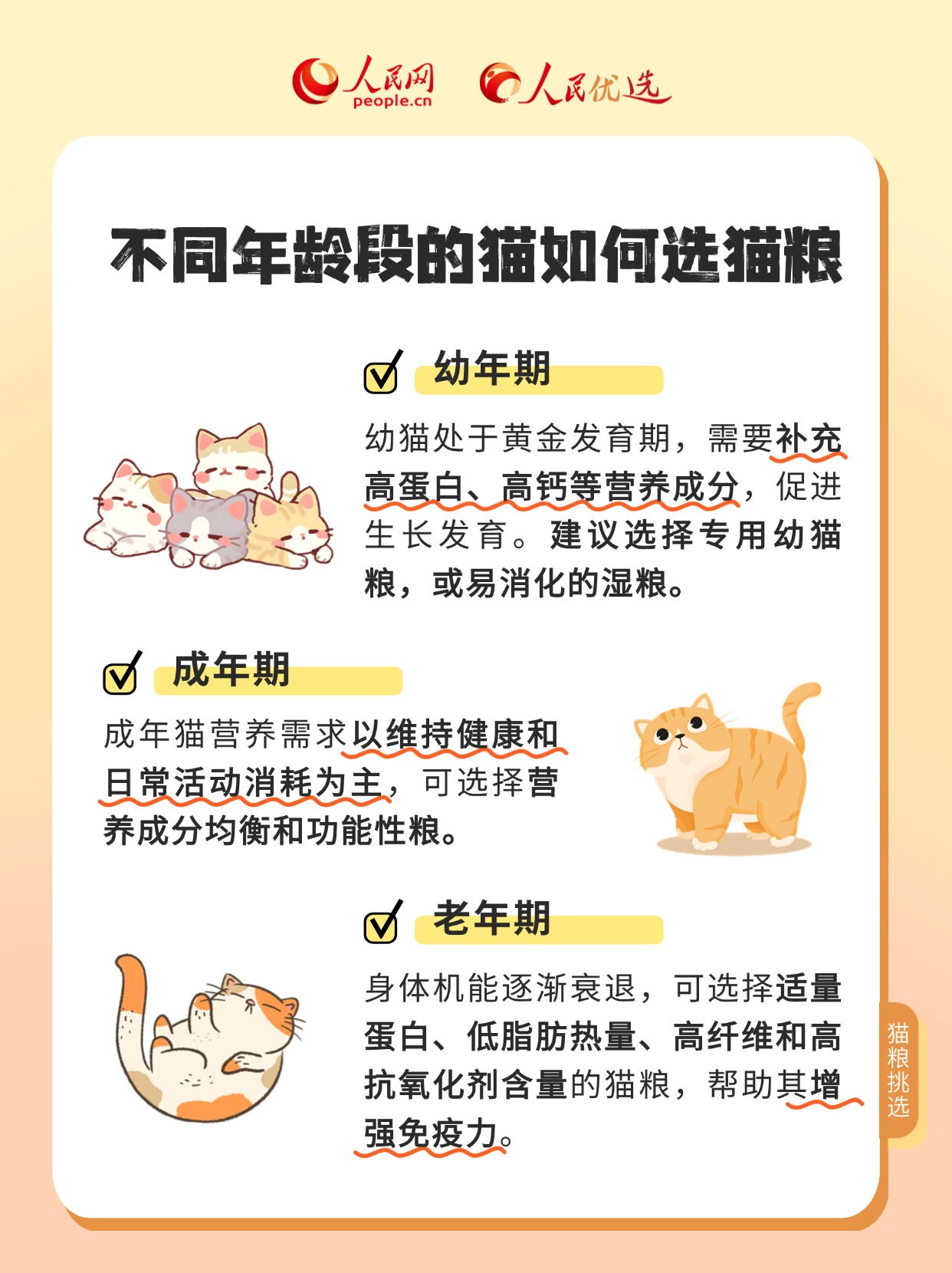 吃得健康挑得好 貓糧選擇大揭秘