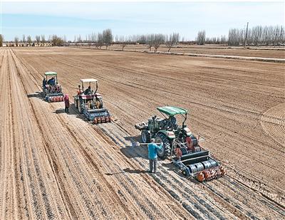 板藍(lán)根能預(yù)防感冒嗎？（杏林尋寶）