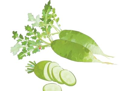 為什么“冬吃蘿卜夏吃姜”(文化中國行·二十四節氣二十四問)