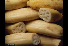 入秋三分虛，進(jìn)補(bǔ)正當(dāng)時(shí)！常吃十種寶，勝過(guò)冬蟲草