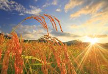 早秋時節，五招幫你祛除濕氣