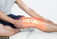 每周吃一次,補關節、活血脈、強筋骨