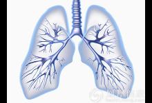 秋后這樣養肺冬來不生病！
