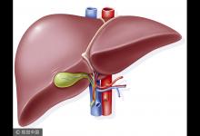 現在吃什么對肝臟好，肝臟不好飯后什么事情不能做？