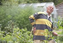 痛風的克星，你一定不知道