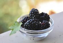 這物號(hào)稱民間圣果最補(bǔ)腎