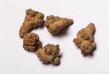 77歲血管病教授：每天早餐吃一勺三七，血管不老！