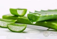 吃什么可以防止皮膚干燥?皮膚干燥怎么辦