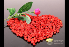 枸杞生吃好還是熬湯好？