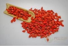 枸杞真有這么神奇？可別吃錯了！