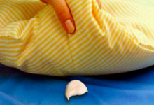 把它放在枕頭下面將有效改善失眠