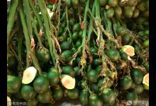 這種水果50%的男人都愛吃，毒性是砒霜10倍，別等到進(jìn)醫(yī)院才后悔