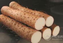 山藥減肥又養胃 山藥變著吃不乏味