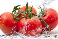 吃番茄好處多，但是禁忌你們懂嗎？