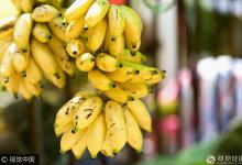 這些食物放進(jìn)冰箱后 ,居然會(huì)變成致癌物!千萬(wàn)要當(dāng)心!