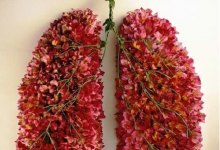 肺部垃圾多損健康,清肺一招簡(jiǎn)單搞定