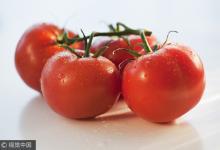 長這樣的西紅柿,再便宜也別買