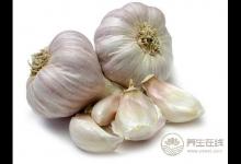 大蒜有防癌功能 怎么吃才能發揮功效