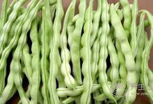 這7種蔬菜家里經常煮，竟然有毒！