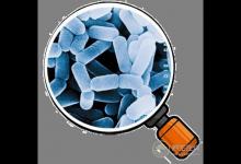 益生菌那么火,益生菌對人體到底有哪些好處