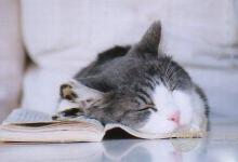 你經常睡不好或者失眠？試試這些方法