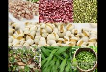 回南天如何除濕?關鍵一點別忘了