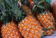 吃菠蘿會上火，別說你不知道