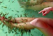 喜愛讓小魚吃掉腳上的死皮？當心脫甲癥