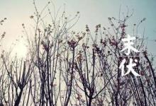 天高月明:伏日未盡 防暑降溫不能放松