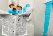 關于長壽，你有4個真相要知道！