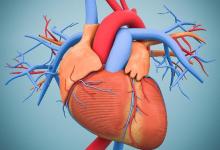 運(yùn)動(dòng)“健心”是長(zhǎng)壽的秘訣!