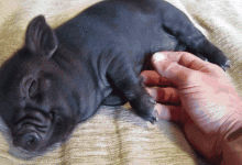 睡覺是個技術活！姿勢選錯怎能睡爽？