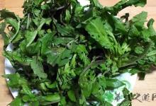 上班族眼睛酸痛常吃什么好