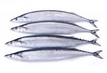 健忘怎么辦?常吃這幾種食物,幫助找回你的記憶