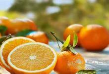 發燒不能吃哪些食物?