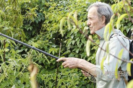 老人養生睡眠方法的禁忌是什么? 老人養生睡眠方法的禁忌是什么?