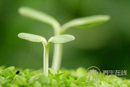 要牢記春季養(yǎng)生禁忌 要牢記春季養(yǎng)生禁忌