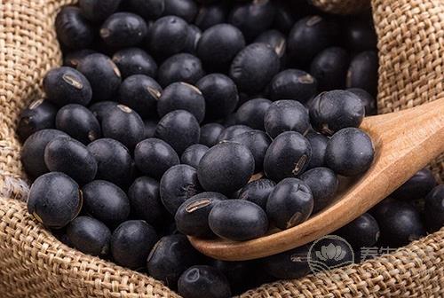 如何選購優(yōu)質(zhì)黑豆?黑豆有助防止大腦老化 如何選購優(yōu)質(zhì)黑豆?黑豆有助防止大腦老化