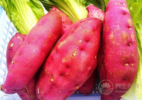 常食薯護腸養胃 推薦紫薯糯米餅 常食薯護腸養胃 推薦紫薯糯米餅