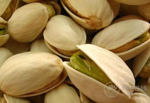 開心果美味營養(yǎng),對身體好處也很多,你了解嗎? 開心果美味營養(yǎng),對身體好處也很多,你了解嗎?