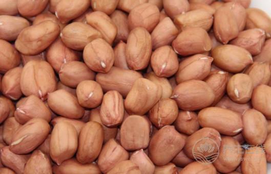 脂肪肝患者可以吃花生嗎？