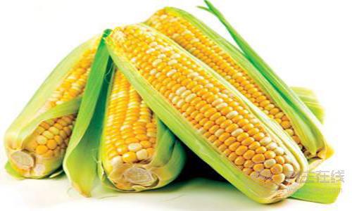 細(xì)數(shù)玉米六大營養(yǎng)價值 鈣含量接近乳制品 細(xì)數(shù)玉米六大營養(yǎng)價值 鈣含量接近乳制品