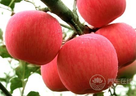 全世界人都愛它 一天吃幾個蘋果最好 全世界人都愛它 一天吃幾個蘋果最好